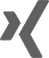 Xing Profil